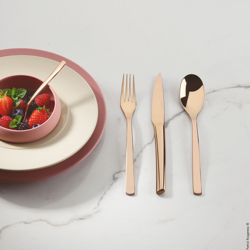 Degrenne frork Knife and Large Spoon and plates with plates